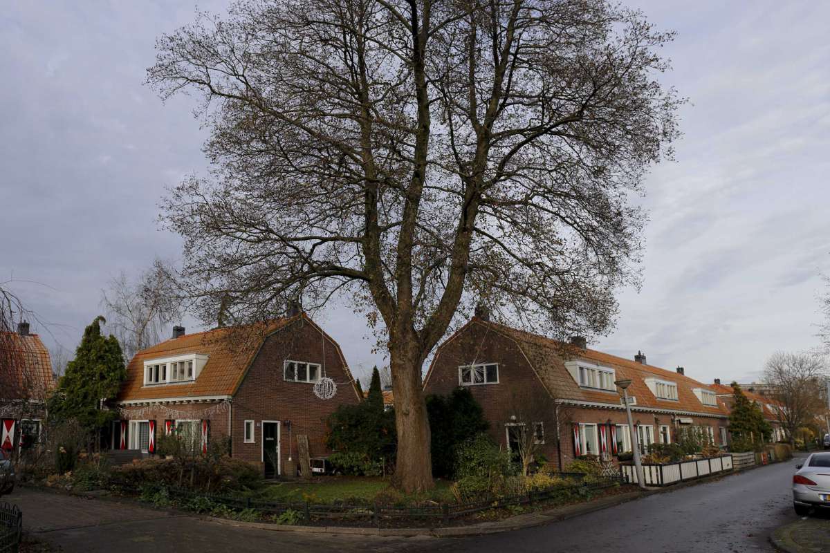 tuindorp oostzaan 2