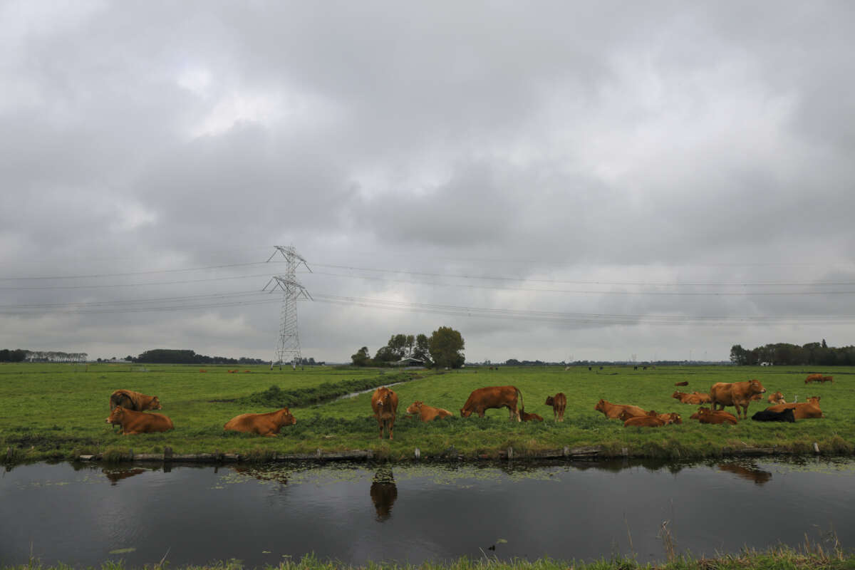 buikslotermeerdijk